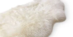Lanna Ivory Sheepskin Throw 2 X 3 11 Lanna Ivory Sheepskin Throw 2 X 3 -Article Shop image19432