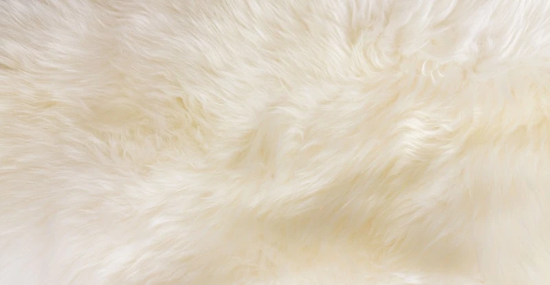 Lanna Ivory Sheepskin Throw 2 X 3 6 Lanna Ivory Sheepskin Throw 2 X 3 - Image 6