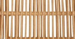 Calova Lounge Chair 18 Calova Lounge Chair -Article Shop image63908