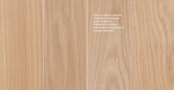 Rus Light Oak Dining Chair 20 Rus Light Oak Dining Chair -Article Shop image79537