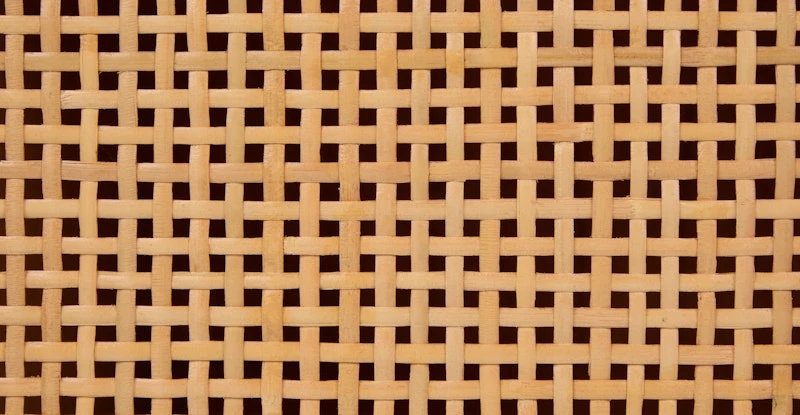 Noyko Rattan Cabinet 9 Noyko Rattan Cabinet - Image 9