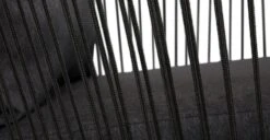 Calicut Coast Black Lounge Chair 18 Calicut Coast Black Lounge Chair -Article Shop image91604