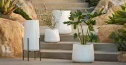 Tuva White Tall Wide Indoor/Outdoor Planter