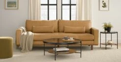 Vitri Walnut Coffee Table